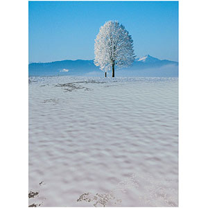 ジオラマシートPRO EX 冬A2