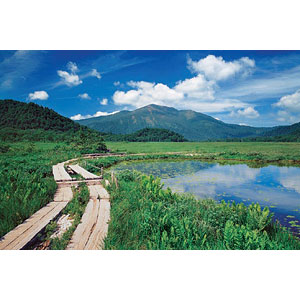 ジグソーパズル 日本の風景 元乃隅稲成神社-山口 1000ピース (10