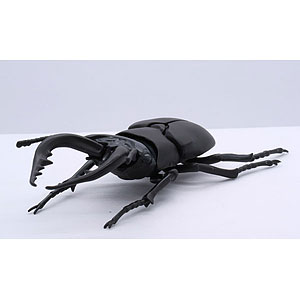 自由研究シリーズ No.22 いきもの編 クワガタムシ プラモデル