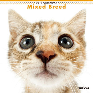 THE CAT カレンダー ミックス (2019年)