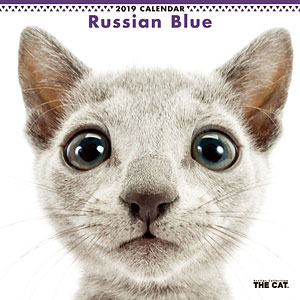 THE CAT カレンダー ロシアンブルー (2019年)