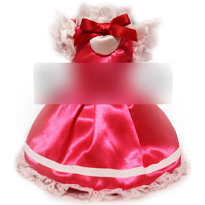 カードキャプターさくら クリアカード編 オープニングコスチュームポーチコレクション リボン