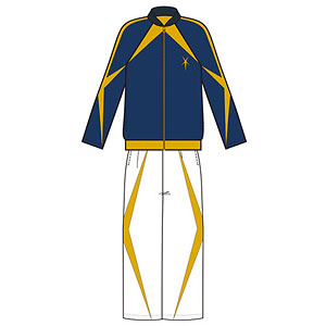 イナズマイレブン アレスの天秤 星章学園ジャージ/M