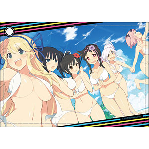 閃乱カグラ PEACH BEACH SPLASH 合皮パスケース 国立半蔵学園