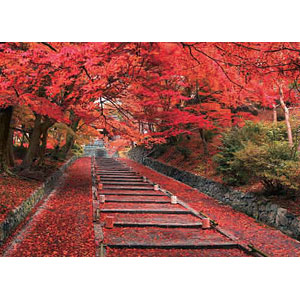 ジグソーパズル 日本の風景 秋の東寺 五重塔-京都 1000ピース (10-802