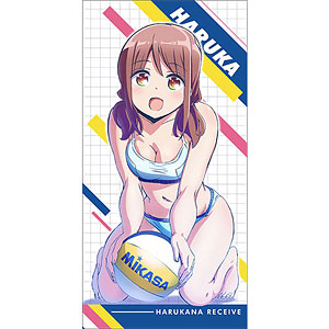 はるかなレシーブ 大空遥 120cmビッグタオル 検索結果]-amiami.jp-あみあみオンライン本店-