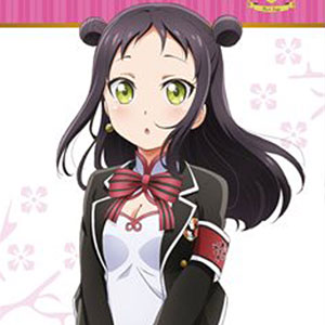 寄宿学校のジュリエット スリムタペストリー 手李亞