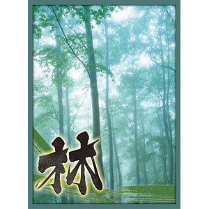 スリーブ　風林火山-林- Amazon.co.jp: 風林火山 スタンダードサイズ カードスリーブ