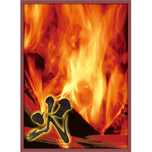 ブロッコリーハイブリッドスリーブ 「風林火山 -林-」改 パック