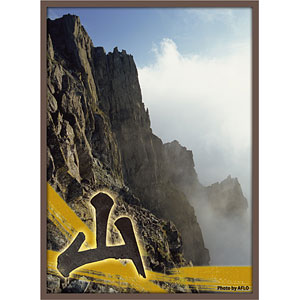 スリーブ　風林火山-林- ブロッコリーハイブリッドスリーブ 「風林火山 -火-」改 パック