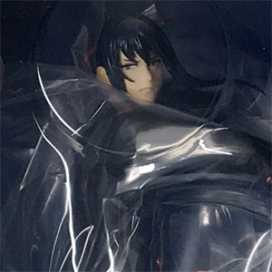 【特典あり】D.Gray-man ハーフサイズトムス フィギュア 41Zz5mU3ZZL._UF350,350_QL50_.jpg