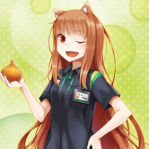 良品　狼と香辛料 ロングクッションカバー 野菜服 Amazon.co.jp: 狼と香辛料 ロングクッションカバー 野菜服 電撃