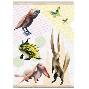 モンスターハンター：ワールド クリアファイル 環境生物