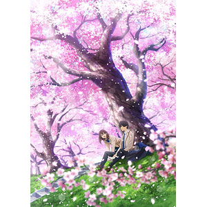 DVD 劇場アニメ「君の膵臓をたべたい」 完全生産限定版