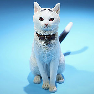 1/6 家猫 FC006[MR.Z]《在庫切れ》
