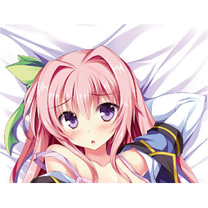 よめっ娘☆抱き枕No.18　相田麻希先生描き下ろし抱き枕カバー　中古　正規品 よめっ娘☆抱き枕No.18 相田麻希先生描き下ろし抱き枕カバー