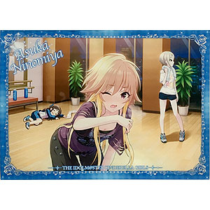 広州カフェ 二宮飛鳥 アクリルコロッタ 缶バッジ 検索結果]-amiami.jp-あみあみオンライン本店-