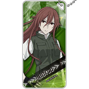 とある科学の一方通行 ドミテリアキーチェーン 禍斗