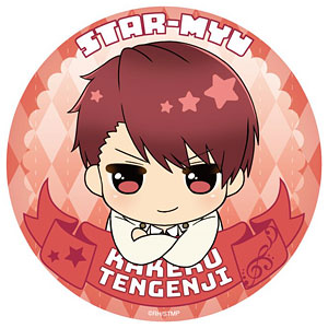 のってぃーシリーズ スタミュ BIG缶バッジ 南條聖（再販）[Y Line