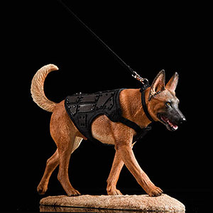 1 6 ベルジアン シェパード ドッグ マリノア B Jxkスタジオ 在庫切れ