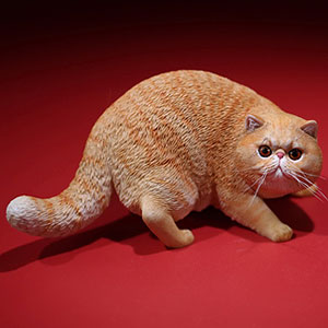 Amazon | Mr.Z 1/6 サイズ エキゾチック・ショートヘア 猫