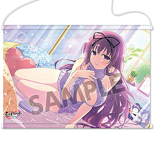 シノビマスター 閃乱カグラ NEW LINK B2タペストリー 紫(VD2019)