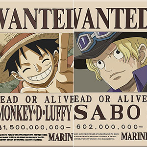 ワンピース アクリルdeカード ペンギン&シャチ ルフィパウリー ロー