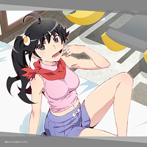 〈物語〉シリーズ ぷくぷく 阿良々木火憐 (高まる女子力) ハンドタオル