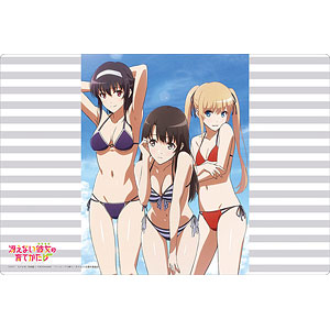 Amie様向け　霞ヶ丘詩羽&amp;えりり 2体セット ( 箱傷あり） ゲオ公式通販サイト/ゲオオンラインストア【中古】WHITE