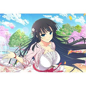 シノビマスター 閃乱カグラ NEW LINK まくらカバー 飛鳥[カーテン魂