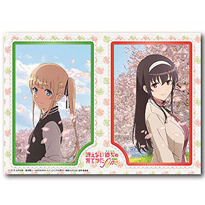 冴えない彼女の育てかたfine ミニ3Dアートコレクション 加藤恵＆安芸 
