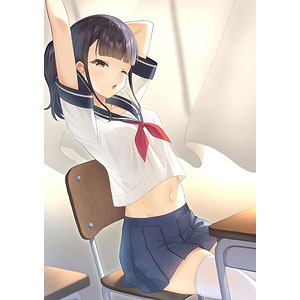 タペストリー セーラー服のまんなか Amazon.co.jp: セーラー服のまんなか展 カントク B2タペストリー