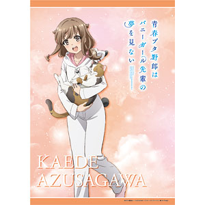 青春ブタ野郎はバニーガール先輩の夢を見ない　桜島麻衣　梓川かえで Amazon.co.jp: 青春ブタ野郎はバニーガール先輩の夢を見ない