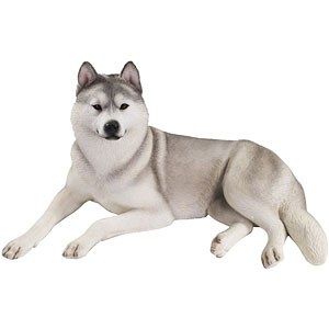 1/6 シベリアンハスキー2.0 2A