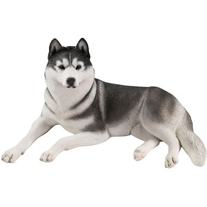 1/6 シベリアンハスキー2.0 4A