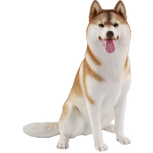 1/6 シベリアンハスキー2.0 1B