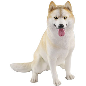 1/6 シベリアンハスキー2.0 3B