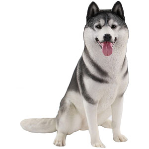 1/6 シベリアンハスキー2.0 4B