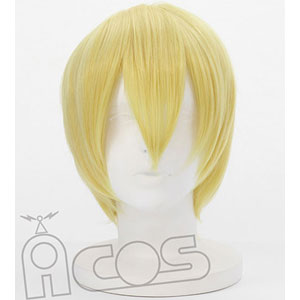 Fate/Grand Order -絶対魔獣戦線バビロニア- キャラクターウィッグ ギルガメッシュ