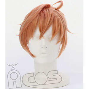 Fate/Grand Order -絶対魔獣戦線バビロニア- キャラクターウィッグ ロマニ・アーキマン