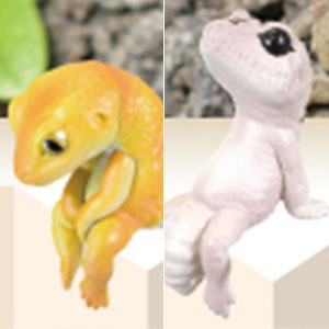 ふちやすみ ～レオパたち～ 10個入りBOX