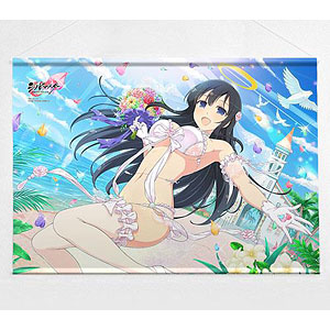 シノビマスター 閃乱カグラ NEW LINK B2タペストリー(雪泉/桜水着