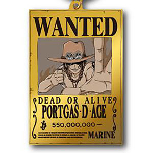 ワンピース 手配書アクリルミラー エース