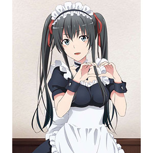 やはり俺の青春ラブコメはまちがっている。 　雪乃　抱き枕カバー　プレミアム やはり俺の青春ラブコメはまちがっている。完 抱き枕カバー