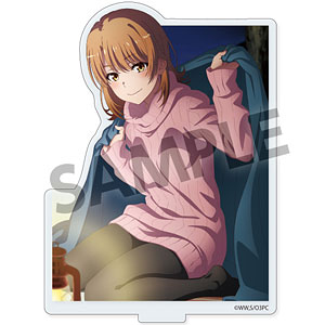 やはり俺の青春ラブコメはまちがっている。シリーズ アクリルフィギュア 一色いろは キャンプ 完ver.