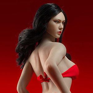1/6 スーパーフレキシブル 女性シームレスボディ サンタン ラージバスト 美脚ボディ S43 ヘッド付