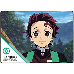 プラボードコレクション 鬼滅の刃 01 竈門炭治郎