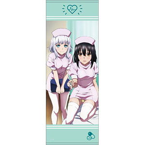 タペストリー　姫柊雪菜＆叶瀬夏音 B2タペストリー 「ストライク・ザ・ブラッド」 ストライク・ザ・ブラッドIV B2タペストリー 姫柊雪菜｜ホビーの