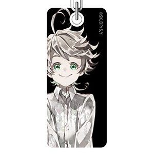 約束のネバーランド PALE TONE series アクリルキーホルダー 約束のネバーランド PALE TONE 両面ルームキーホルダー ノーマン