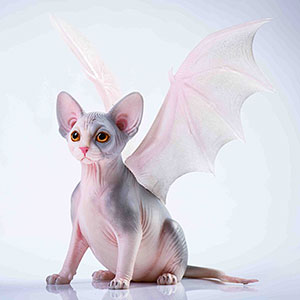 レビュー高評価の商品!の商品をすべて 1/6 幻想生物 B[JXKスタジオ]《在庫切れ》 コウモリ猫 ぬいぐるみ